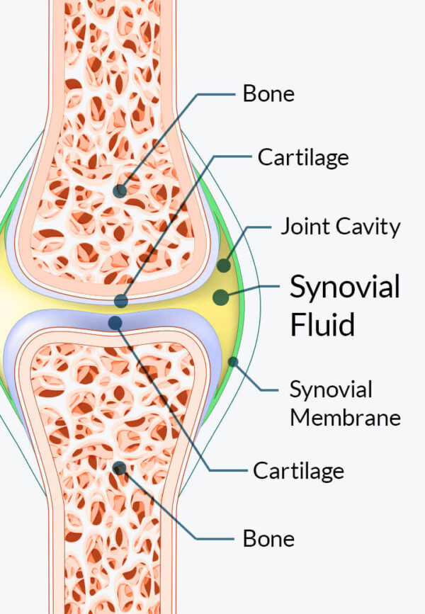 Joint Genesis – Youthful Joint Mobility & Comfort Formula - Image 3